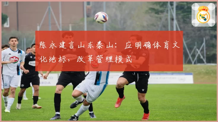 陈永建言山东泰山:应明确体育文化地标,改革管理模式