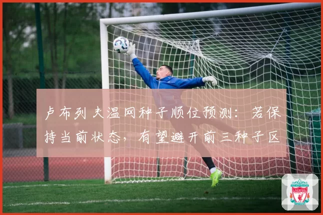 卢布列夫温网种子顺位预测:若保持当前状态,有望避开前三种子区