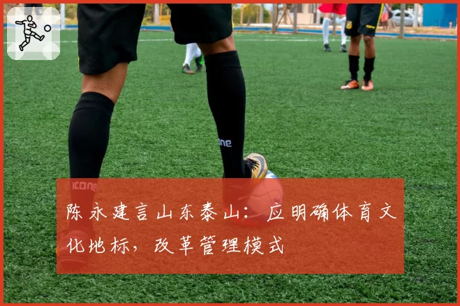 陈永建言山东泰山:应明确体育文化地标,改革管理模式