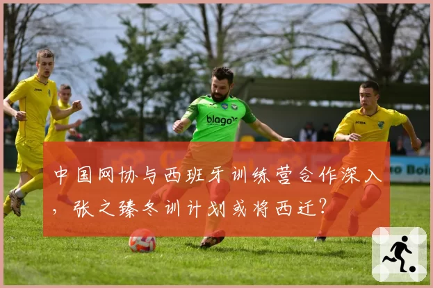 中国网协与西班牙训练营合作深入,张之臻冬训计划或将西迁?