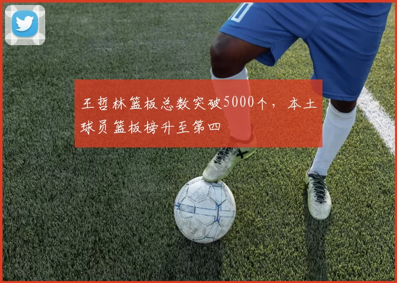 王哲林篮板总数突破5000个，本土球员篮板榜升至第四