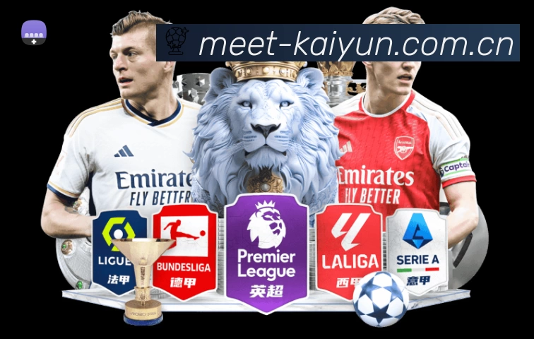 开云APP界面展示