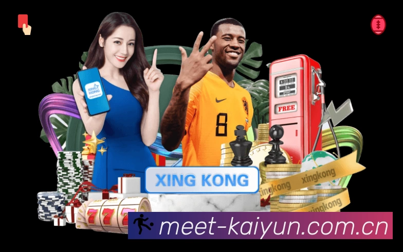 关键数据面板