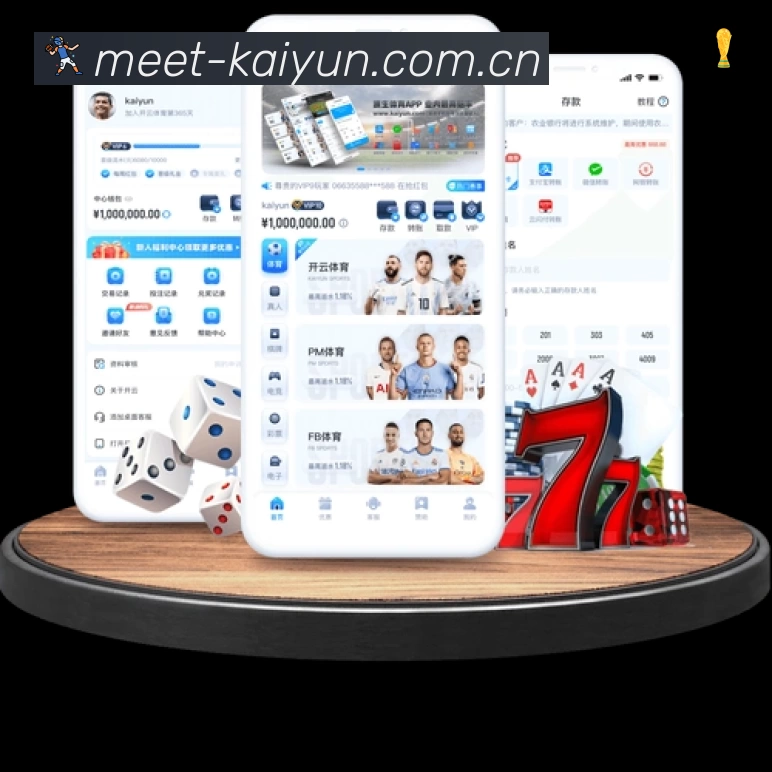 回放与集锦入口